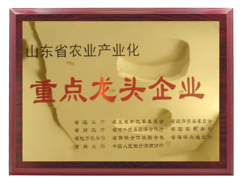 山東省農業產業化重點龍頭企業